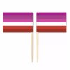Mini Lesbian Flag Toothpick Flag 50pcs