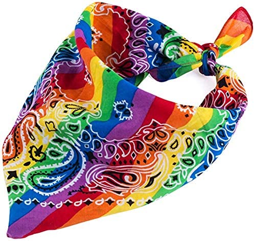 PrideOutlet > Face Covers/Masks > Rainbow Pride Bandana