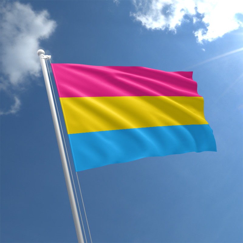 PrideOutlet Flags Pansexual Pride Flag 5ft X 3ft