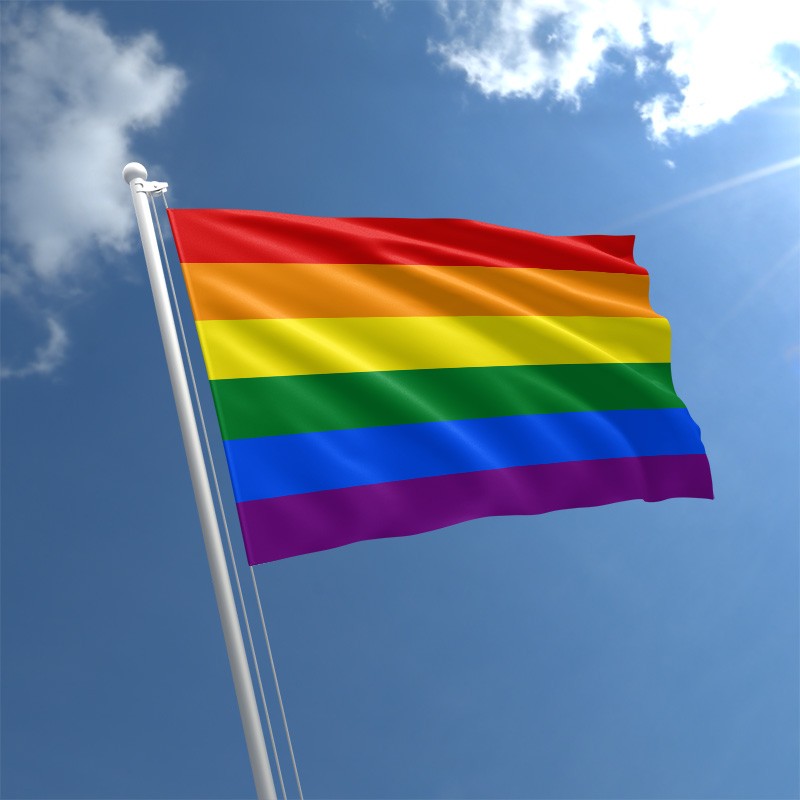 gay flag with an x