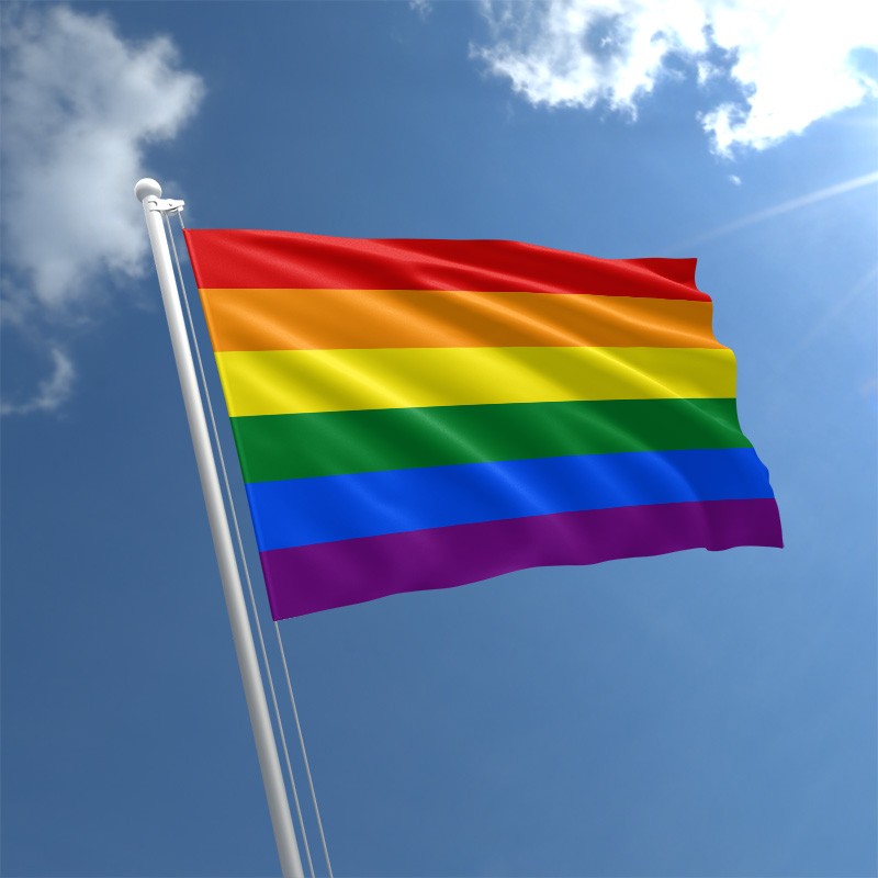 PrideOutlet Flags Gay Pride 3 X 5 Foot Rainbow Economy PrideOutlet Flags Gay Pride 3 X 5 Foot Rainbow Economy