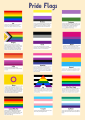 Pride Flags & LGBTQ+ Identities