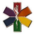 Rainbow Star of Life Nursing Ambulance Pin