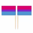 Mini Bisexual Flag Toothpick Flag 50pcs