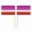 Mini Lesbian Flag Toothpick Flag 50pcs