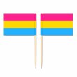 Mini Pansexual Flag Toothpick Flag 50pcs