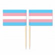 Mini Transgender Flag Toothpick Flag 50pcs