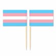 Mini Transgender Flag Toothpick Flag 50pcs