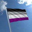 Asexual - 3' x 5' Polyester  Flag w/Metal Grommets and a Cotton Heading