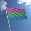 Poly Polysexual - 3' x 5'  Flag w/Metal Grommets