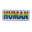 Lapel Pin Rainbow HUMAN