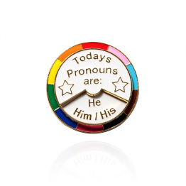 Today's Pronouns Are: Spin Wheel Lapel Pin