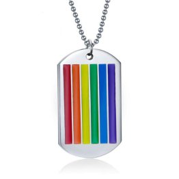 Titanium Stainless Steel Gay Pride Dog Tag w/ Chain