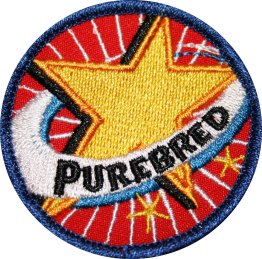 Gold Star Badge