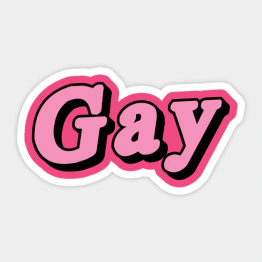 PrideOutlet Pink Gay 4" Inch Bumper Sticker