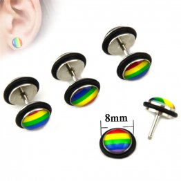 Pair of Double Sides Epoxy Rainbow Gay Pride Fake Plug O-Rings Cheater Illusion
