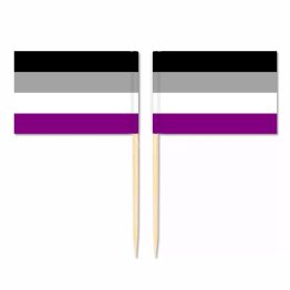 Mini Asexual Flag Toothpick Flag 50pcs