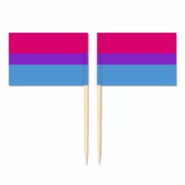 Mini Bisexual Flag Toothpick Flag 50pcs