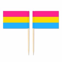 Mini Pansexual Flag Toothpick Flag 50pcs