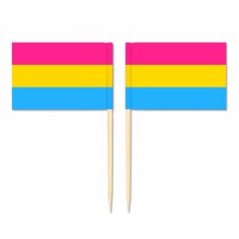 Mini Pansexual Flag Toothpick Flag 50pcs