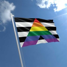Straight Ally Pride Flag – 5ft x 3ft