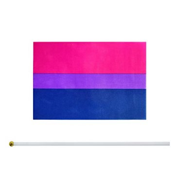 10pk Hand Bisexual Flags 8.5" by 5.5"