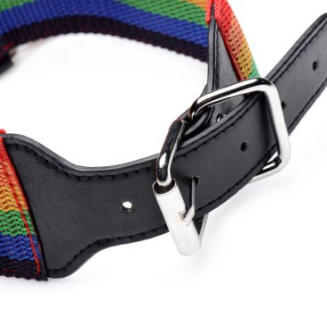 Master Series Kinky Pride Rainbow Bondage Set Wrist & Ankle Cuffs & Collar W/Leash