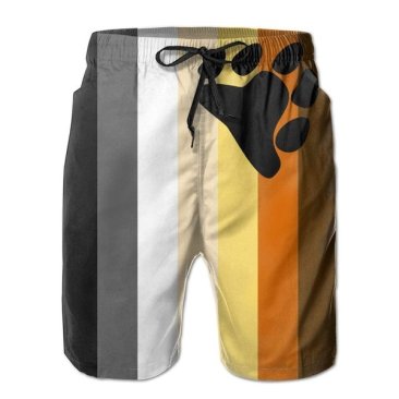 LGBT Bear Pride Men's Quick-Dry Board-shorts