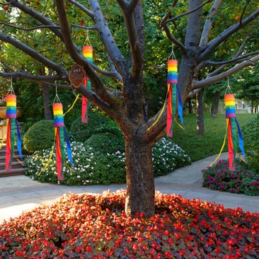 Outdoor Rainbow Windsock – Pride Edition