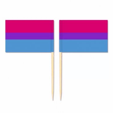 Mini Bisexual Flag Toothpick Flag 50pcs