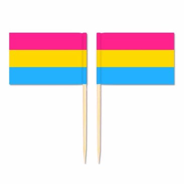 Mini Pansexual Flag Toothpick Flag 50pcs