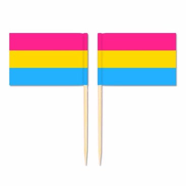 Mini Pansexual Flag Toothpick Flag 50pcs