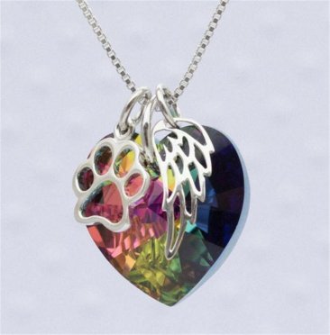 Rainbow Bridge Pet Loss Neckless