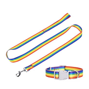 Rainbow Dog Leash