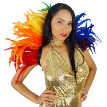 Carnival Feather Collar Rainbow