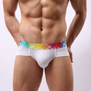 Rainbow Band Cotton Boxer Briefs Underwear