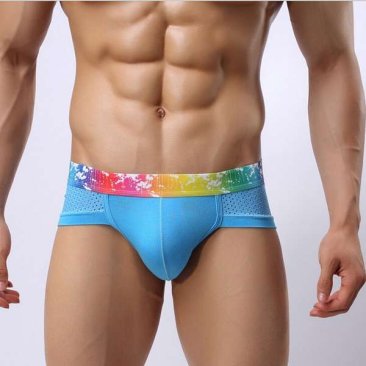 Rainbow Band Cotton Boxer Briefs Underwear