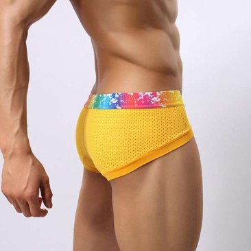 Rainbow Band Cotton Boxer Briefs Underwear