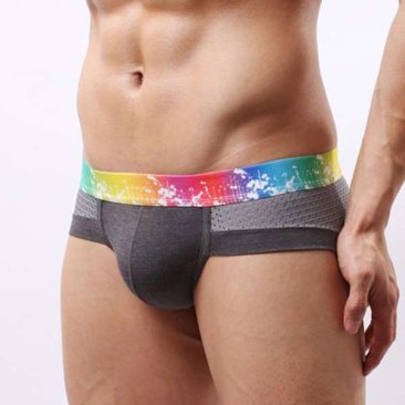 Rainbow Band Cotton Boxer Briefs Underwear