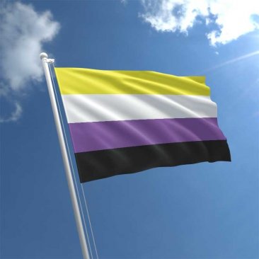 Non Binary - 3' x 5' Polyester  Flag w/Metal Grommets and a Cotton Heading