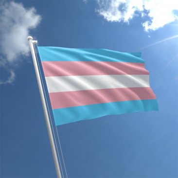 Transgender - 3' x 5' Polyester  Flag w/Metal Grommets and a Cotton Heading