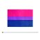 10pk Hand Bisexual Flags 8.5" by 5.5"