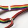 Rainbow Adult Braces/Suspenders