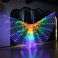 Rainbow LED Butterfly Wings