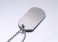 Titanium Stainless Steel Gay Pride Dog Tag w/ Chain