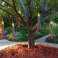 Outdoor Rainbow Windsock – Pride Edition