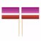 Mini Lesbian Flag Toothpick Flag 50pcs