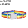 Rainbow Dog Leash