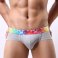 Rainbow Band Cotton Boxer Briefs Underwear