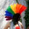 Rainbow Feather Mohawk - Quills